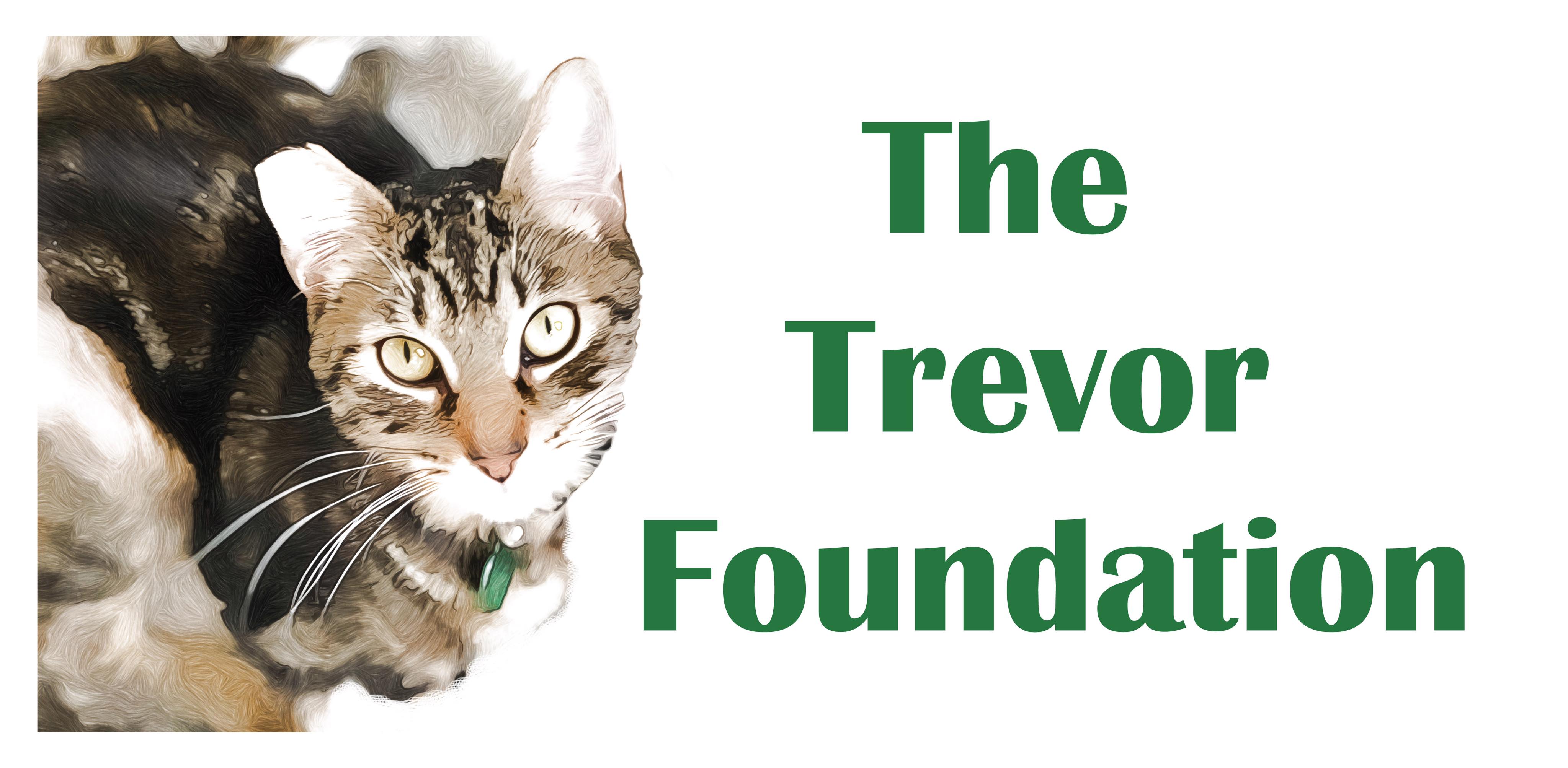 The Trevor Foundation