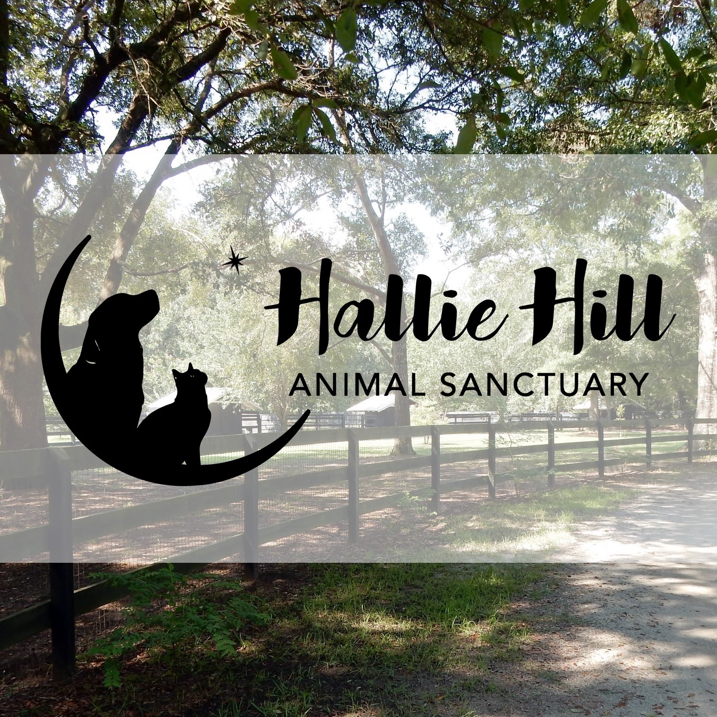 Hallie Hill Animal Sanctuary | CUDDLY