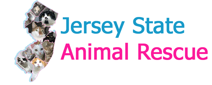 Jersey State Animal Rescue