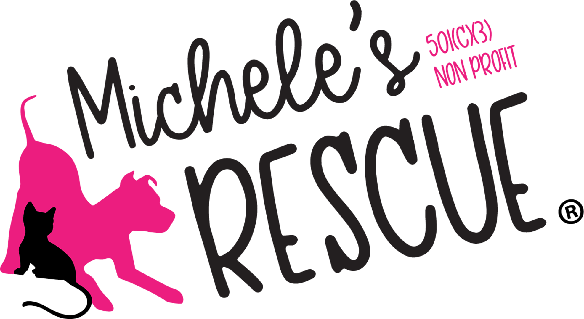 Michele's Rescue