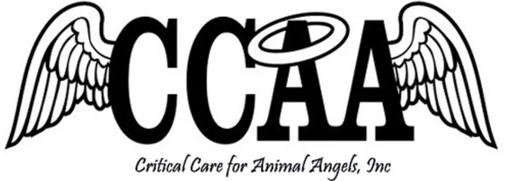 Critical Care for Animal Angels