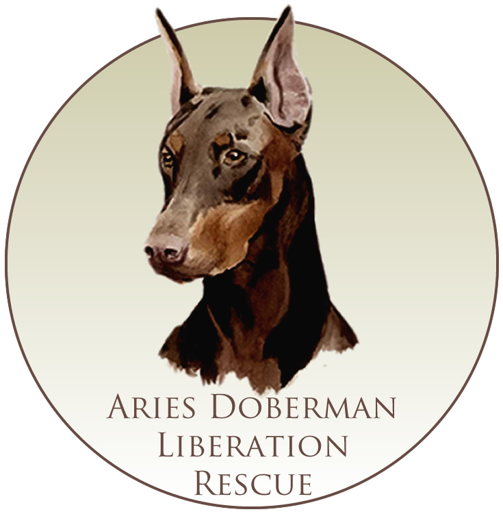 ARIES DOBERMAN LIBERATION RESCUE