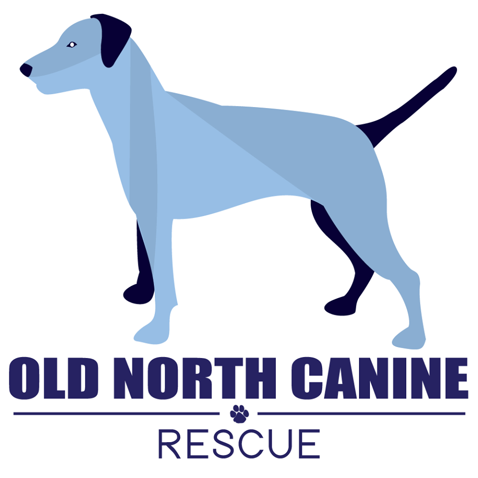 Old North Canine Rescue