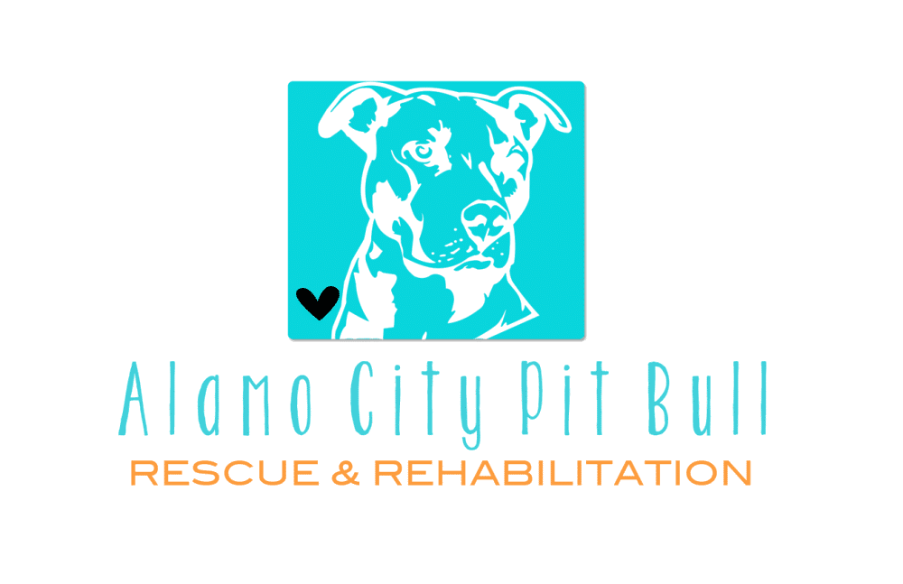 Alamo City Pit Bull & Rehabilitation