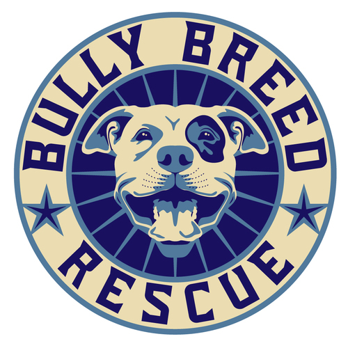 Bully Breed Rescue Inc CUDDLY   3572 1510155096787 Photo 