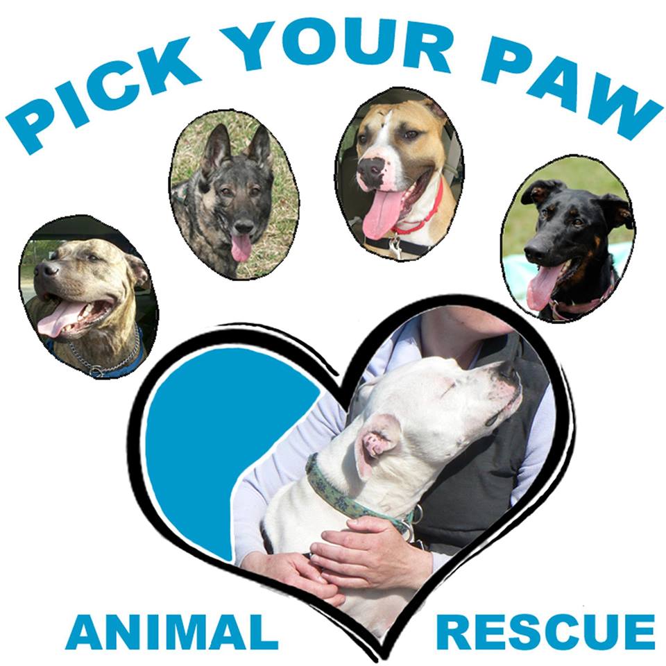 Pick Your Paw Animal Rescue | CUDDLY