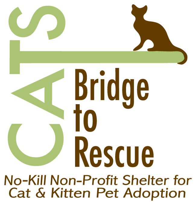 CATS Bridge to Rescue