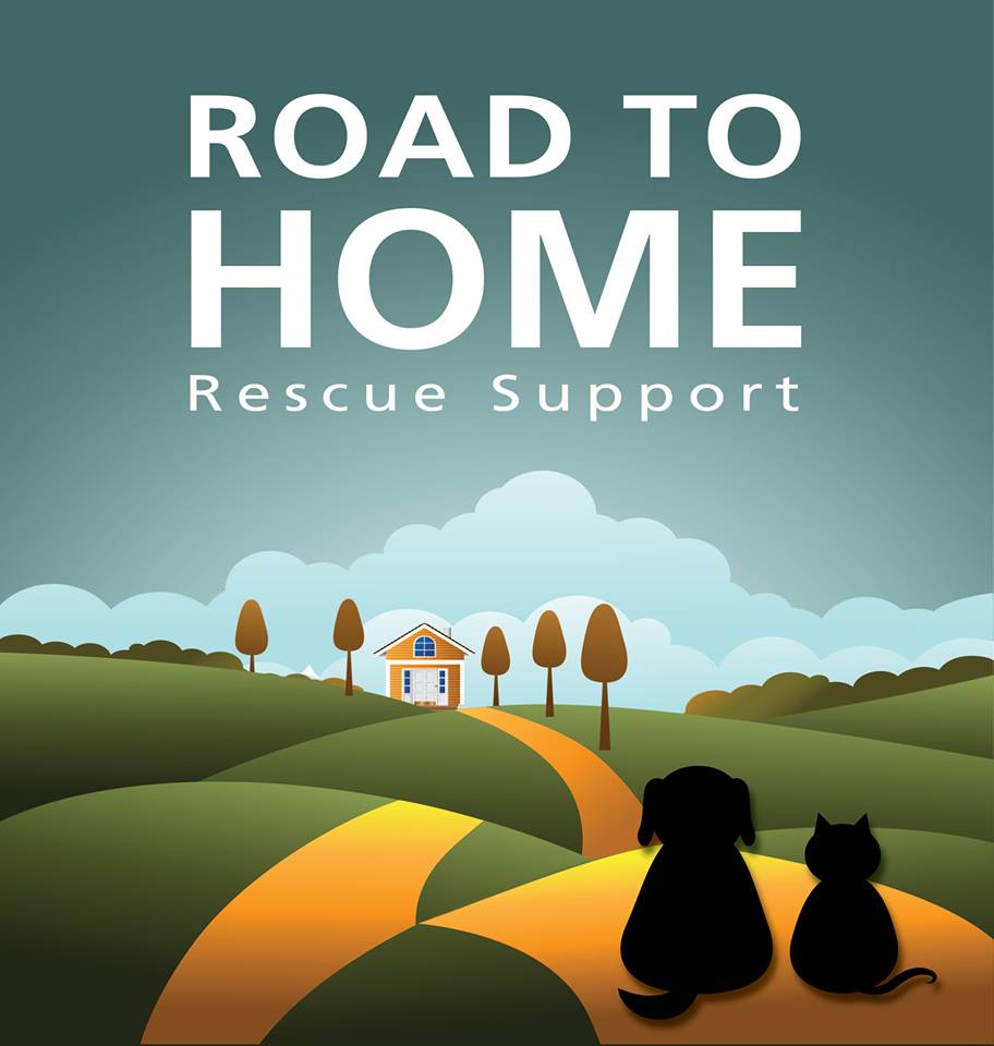 Road To Home Rescue Support