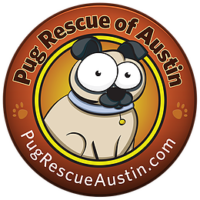 Pug Rescue Austin