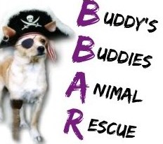 Buddy's Buddies Animal Rescue, Inc.