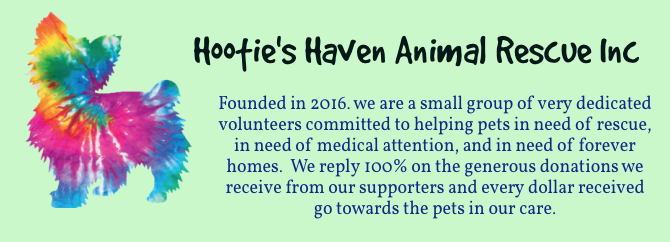 Hootie's Haven Animal Rescue Inc