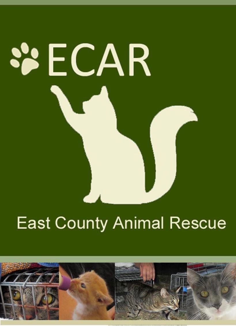 East County Animal Rescue