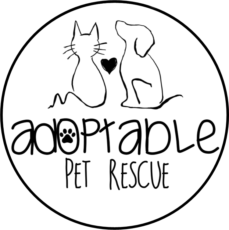 Adoptable Pet Rescue