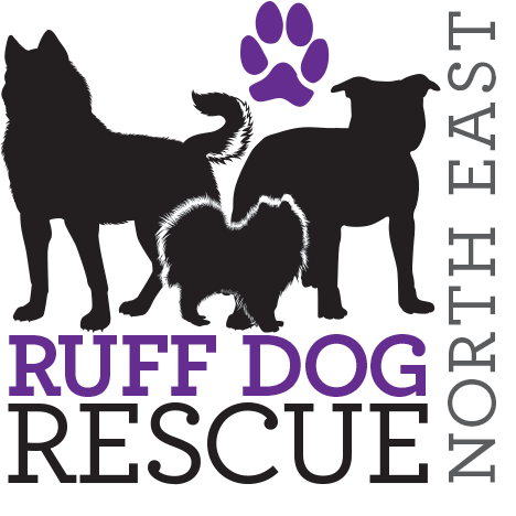 ruff dog rescue northeast