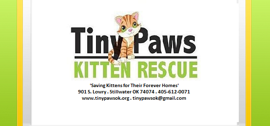 Tiny Paws Kitten Rescue