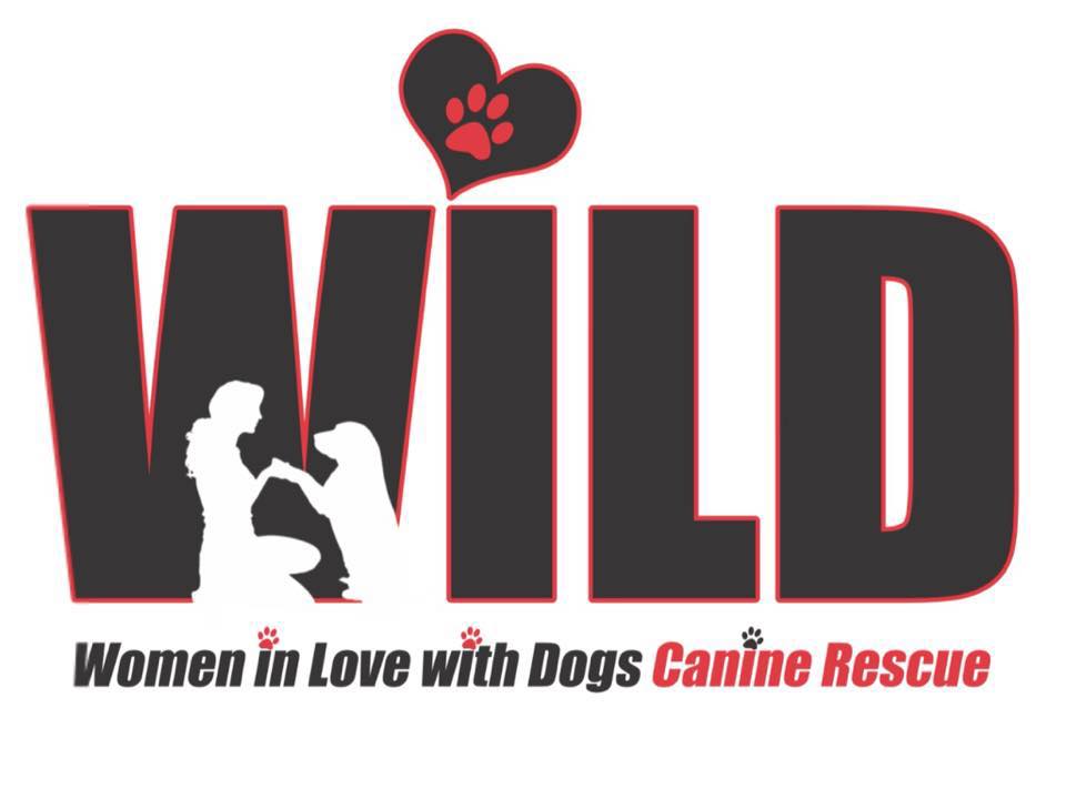 Wild Canine Rescue