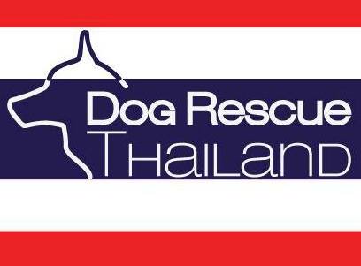 Dog Rescue Thailand 