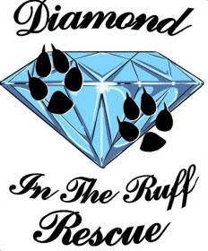 Diamond In The Ruff Rescue 