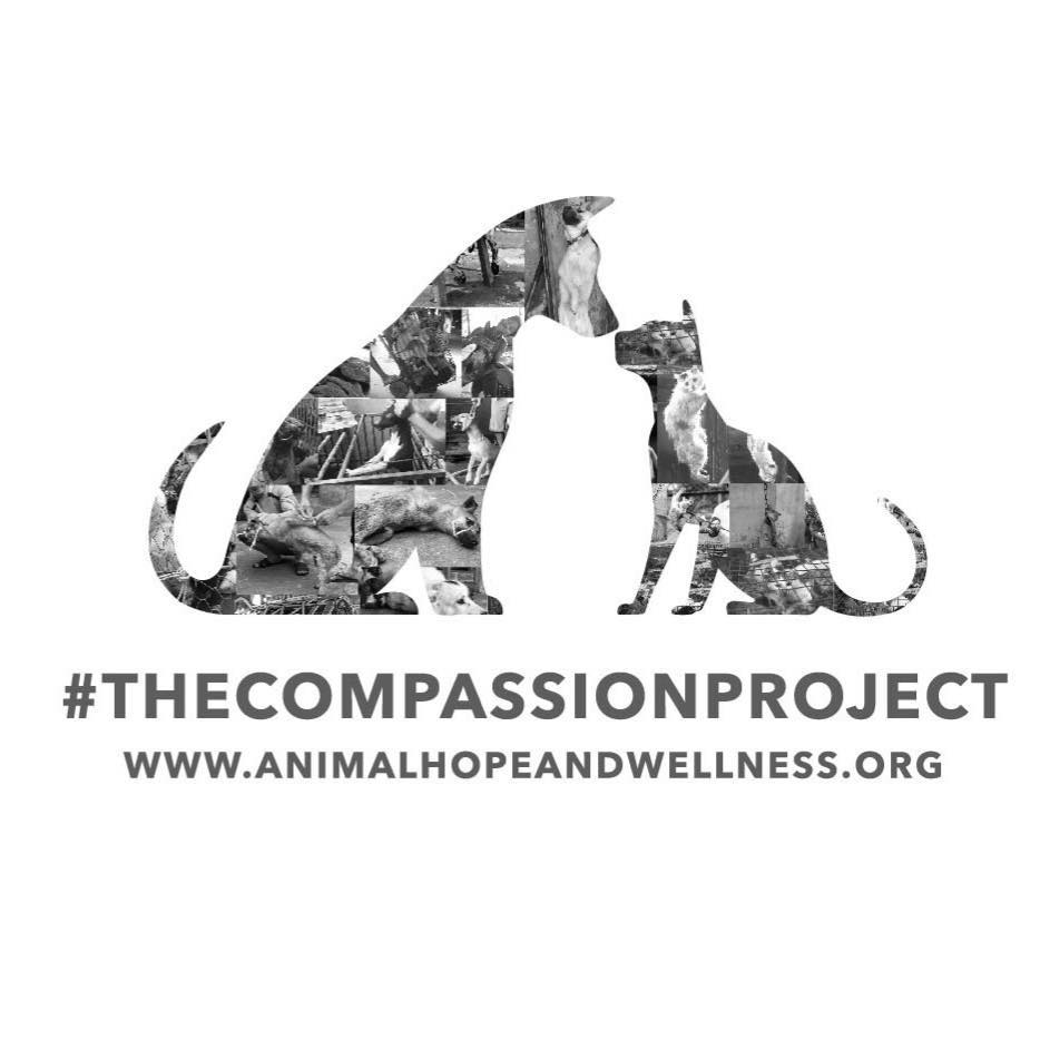 Animal Hope and Wellness Foundation