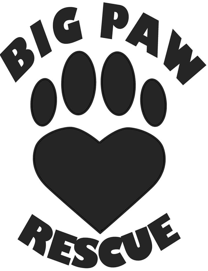 Big Paw Rescue | CUDDLY