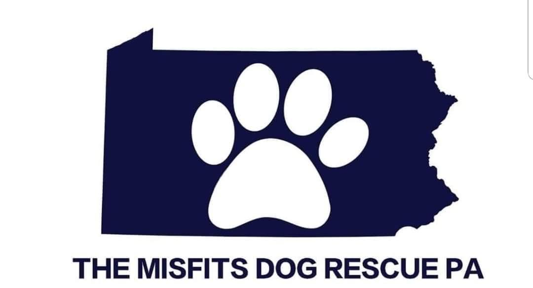 The Misfits Dog Rescue PA