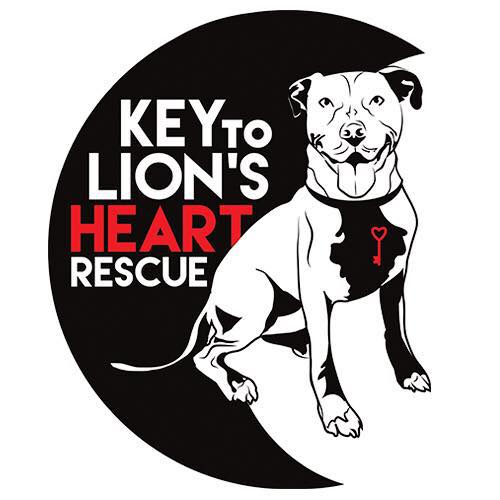 Key to Lion's Heart Rescue