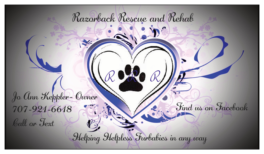 Razorback Rescue and Rehab