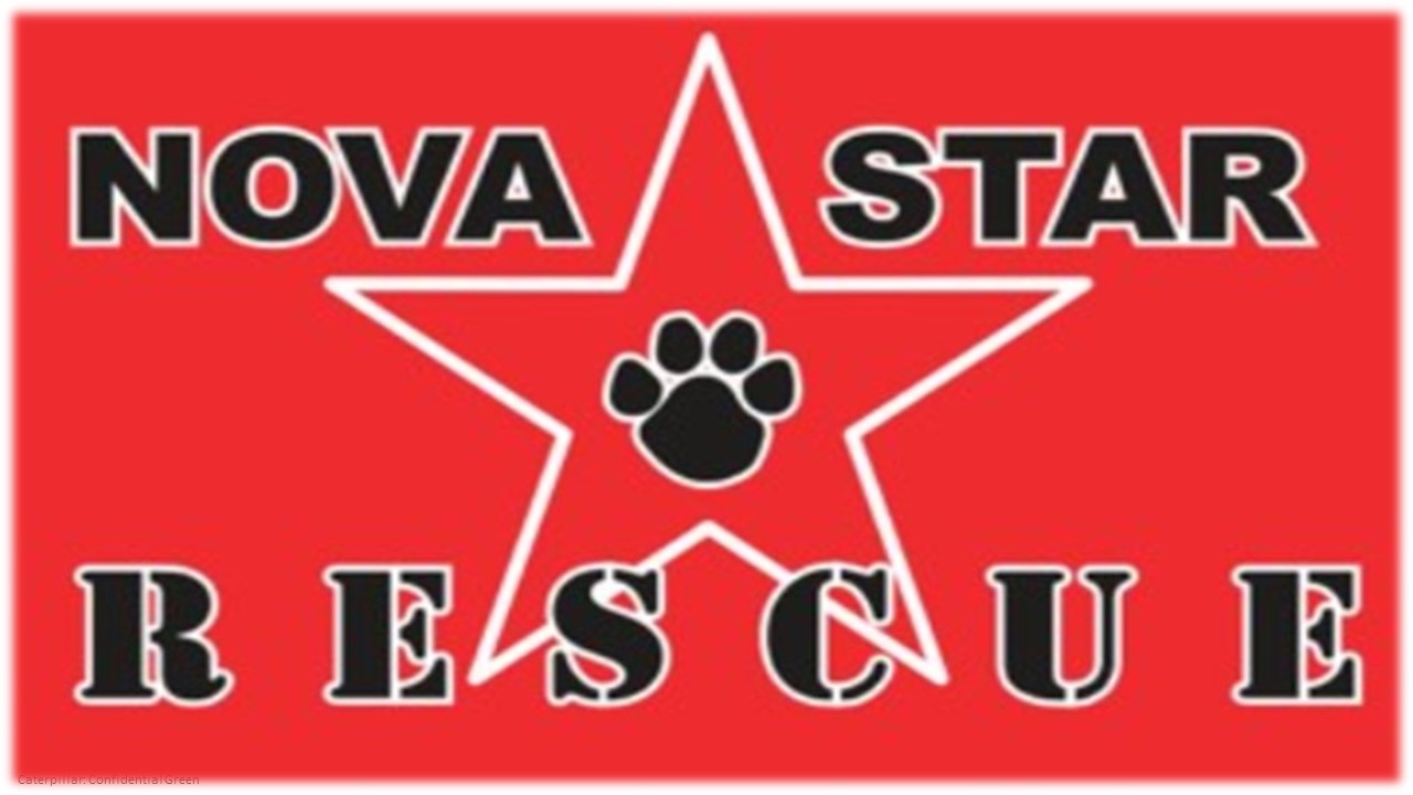 NovaStar Animal Rescue