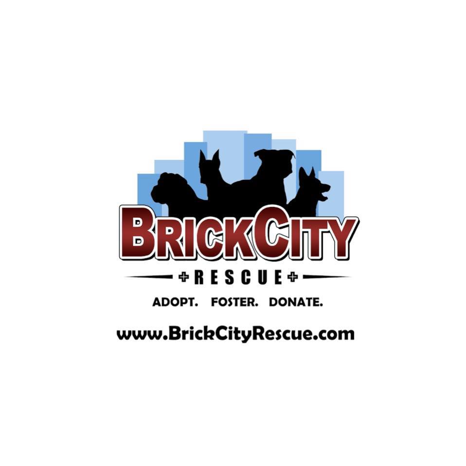 Brick City Rescue, Inc