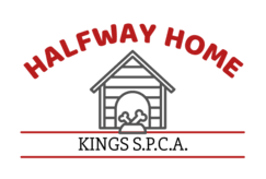 Kings SPCA 