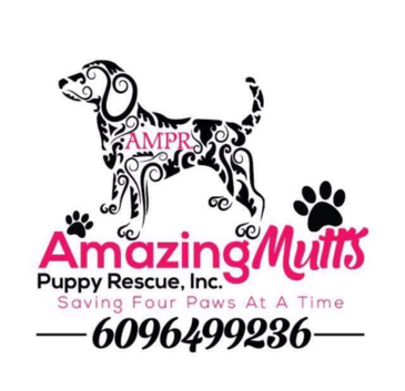 Amazing Mutts Puppy Rescue, Inc