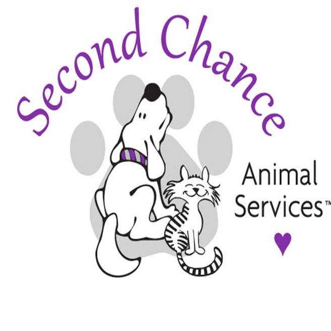 Animal service Видное.