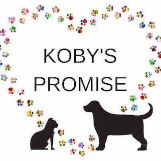 Koby's Promise, Inc.