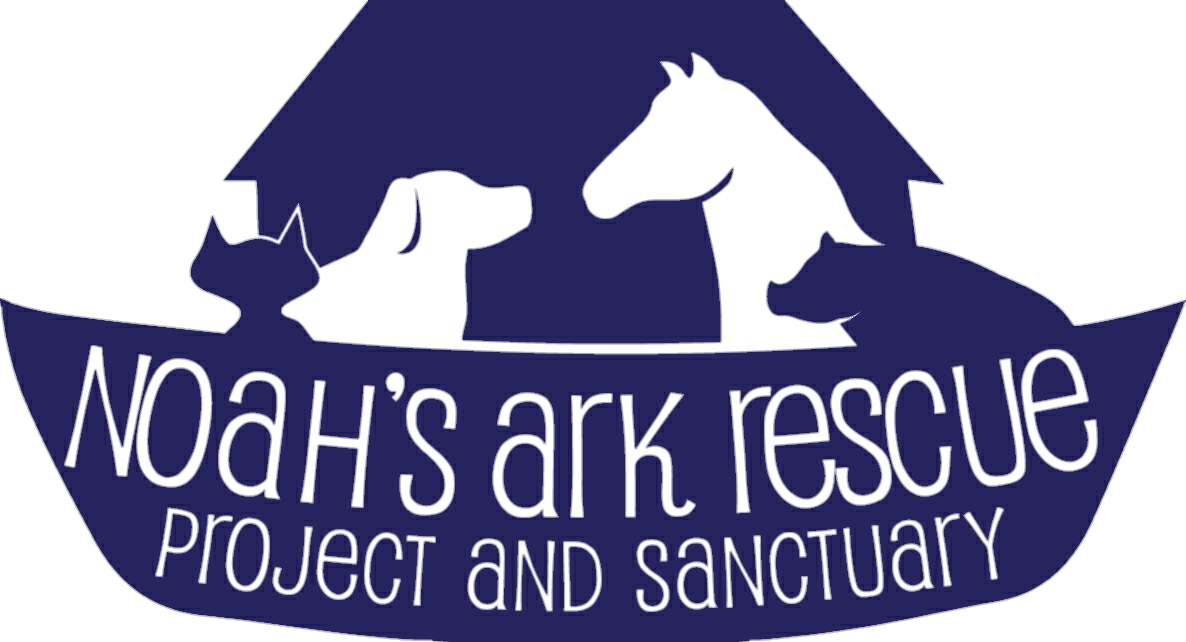Noah's Ark Rescue Project and Sanctuary 