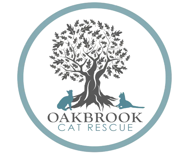 Oakbrook Cat Rescue