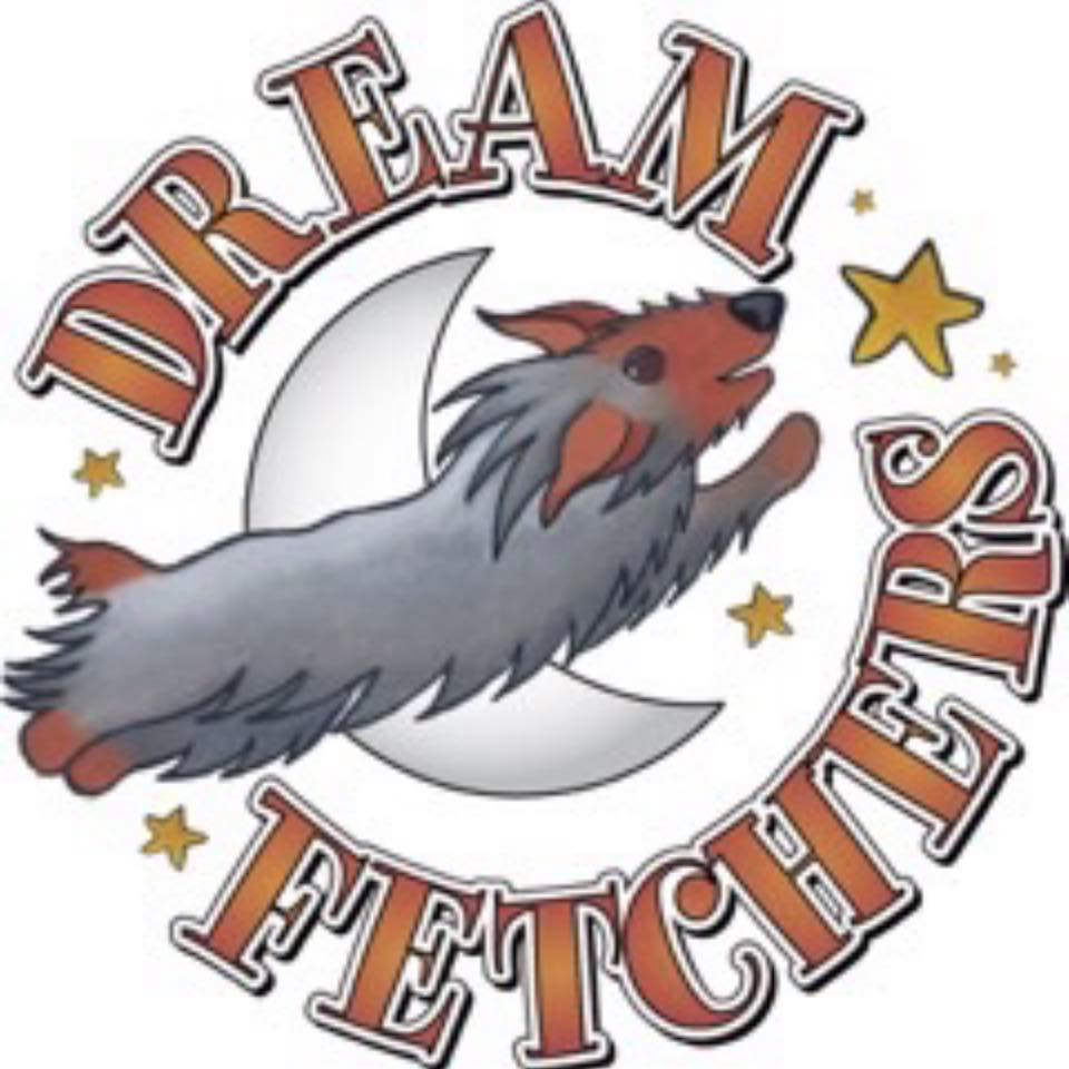 Dream Fetchers: Project Rescue