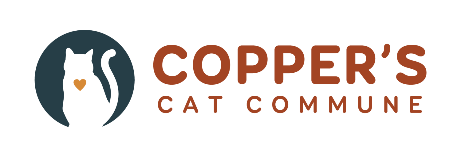 Copper's Cat Commune