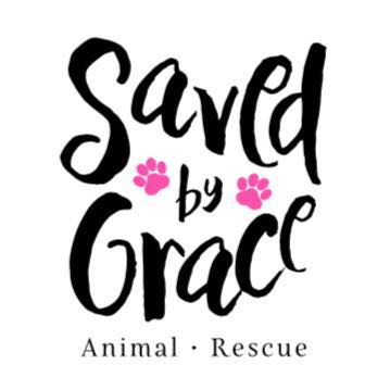 Saved By Grace Animal Rescue