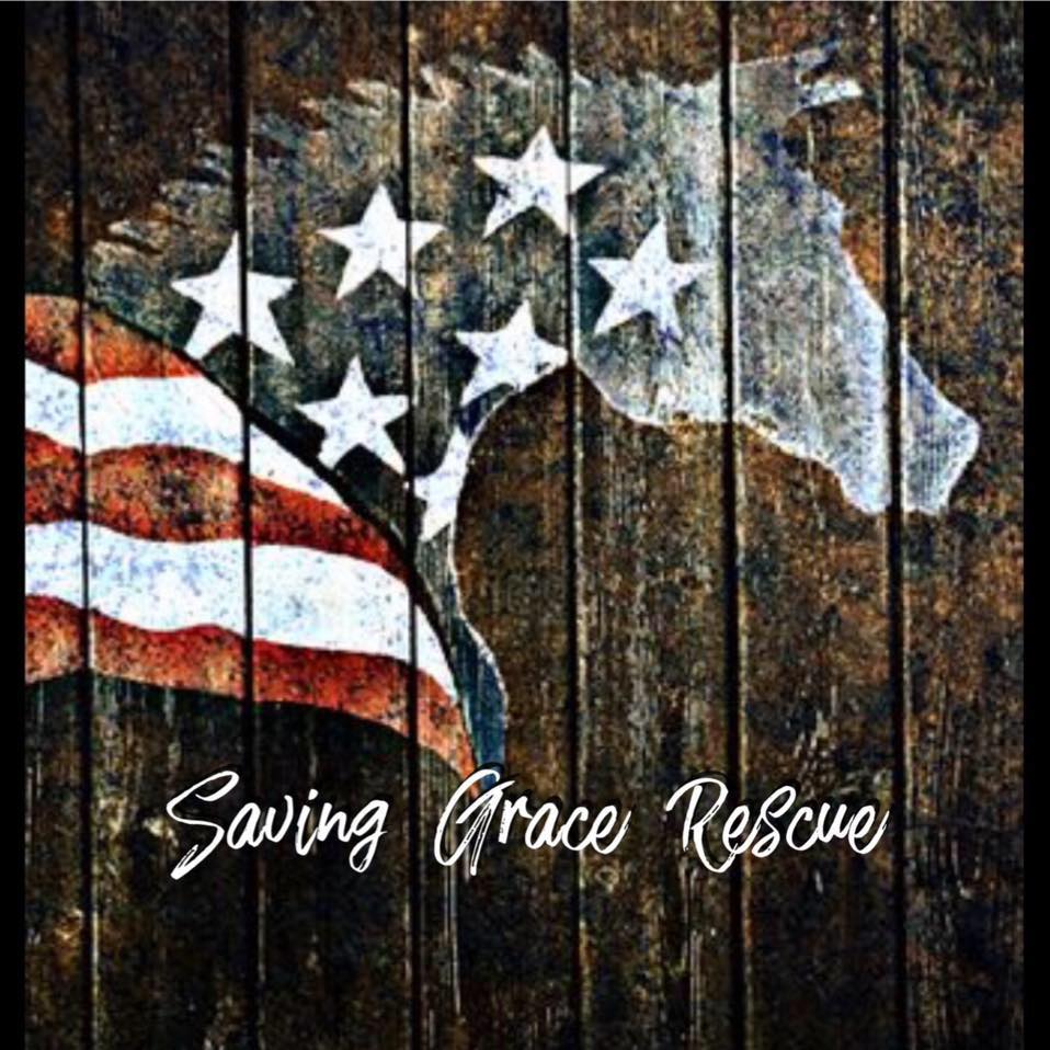 Saving Grace Rescue