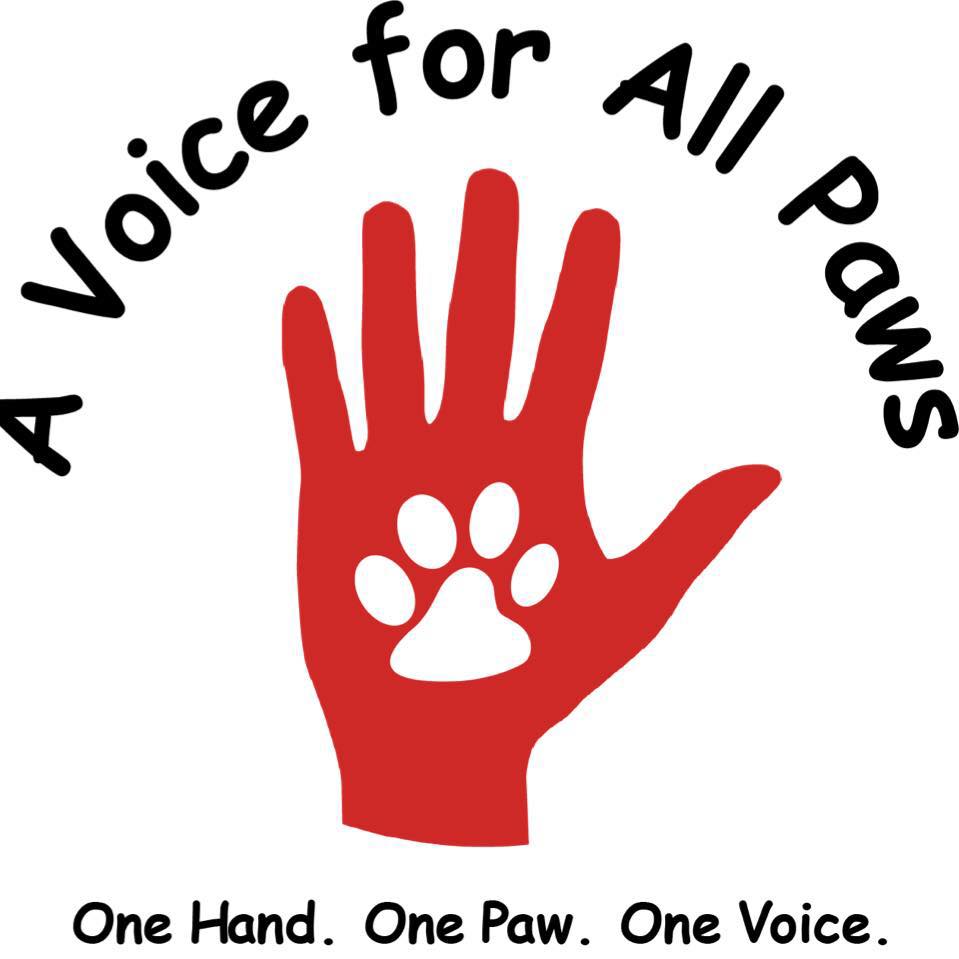 Shelter logo