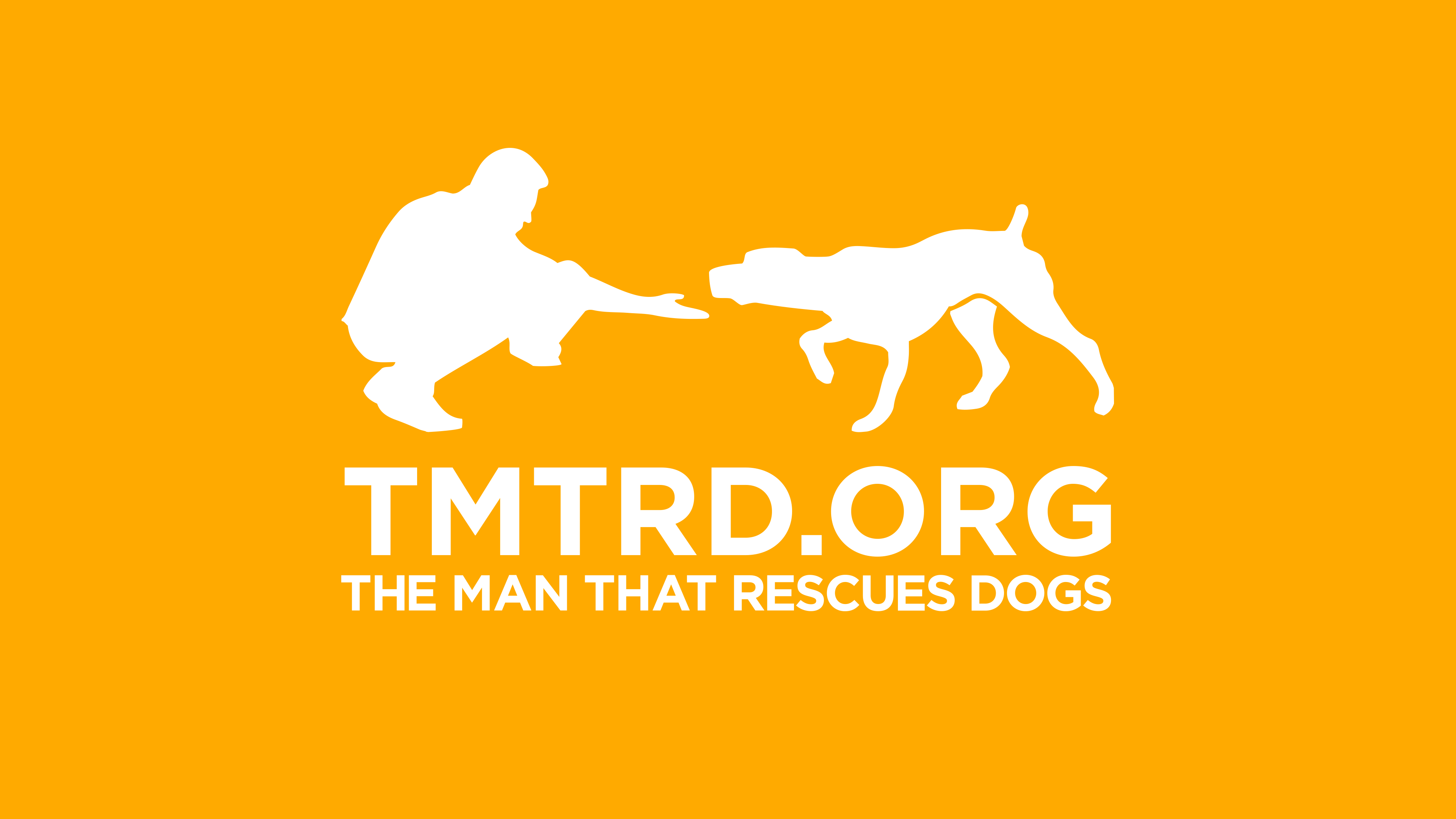 The Man That Rescues Dogs