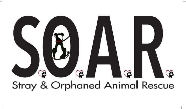 Stray and Orphaned Animal Rescue