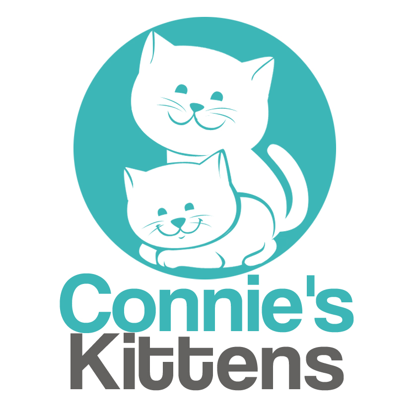 Connie's Kittens