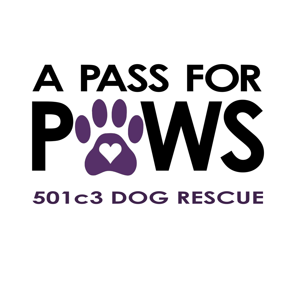 A Pass for Paws