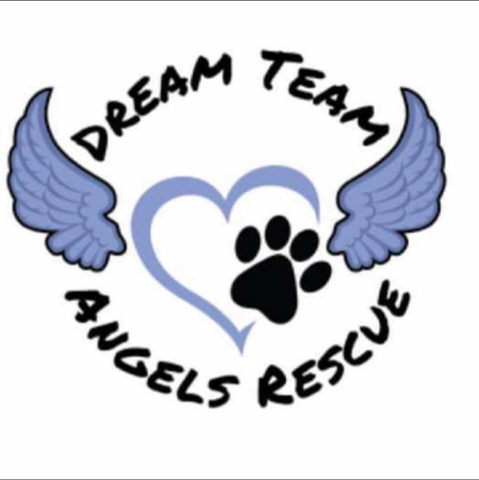 Dream Team Angels Rescue