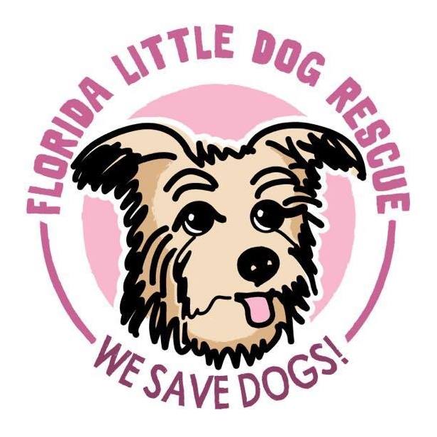 Florida Little Dog Rescue CUDDLY