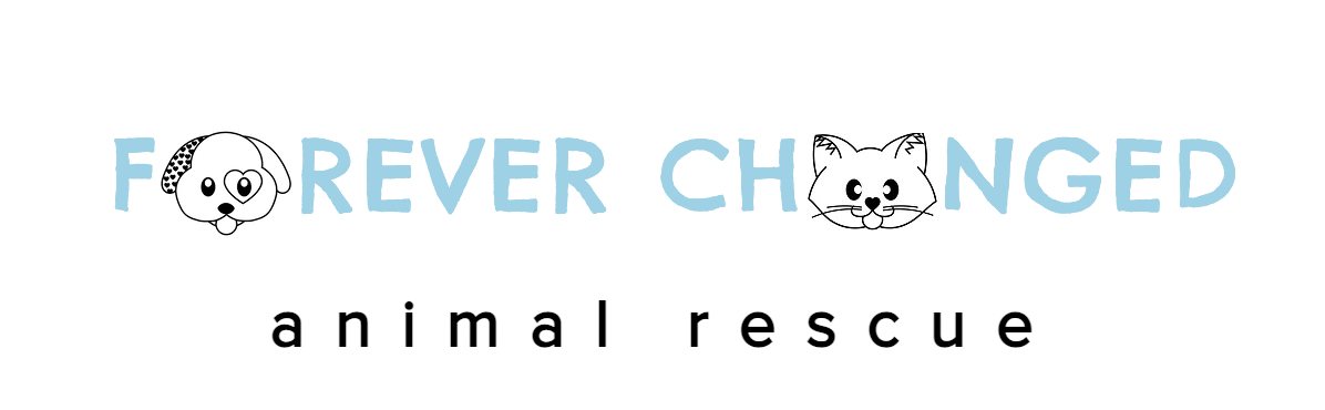 Forever Changed Animal Rescue