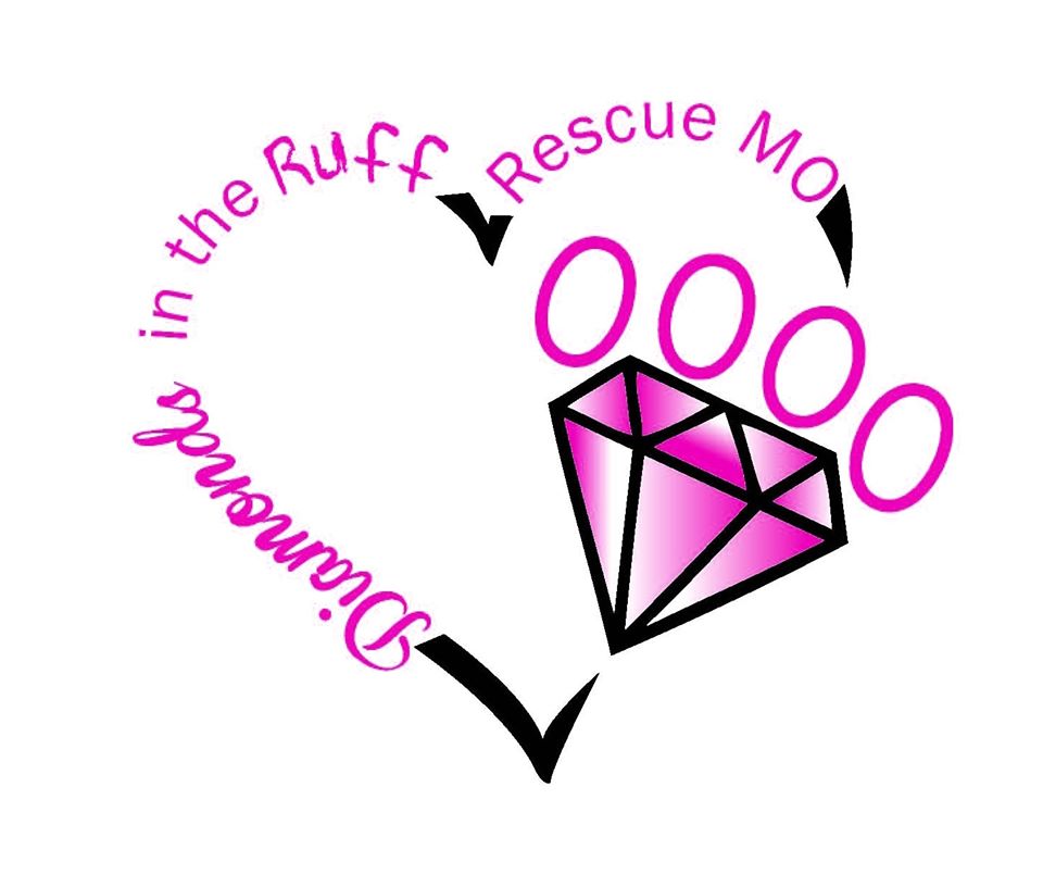 Diamonds in the Ruff Rescue MO