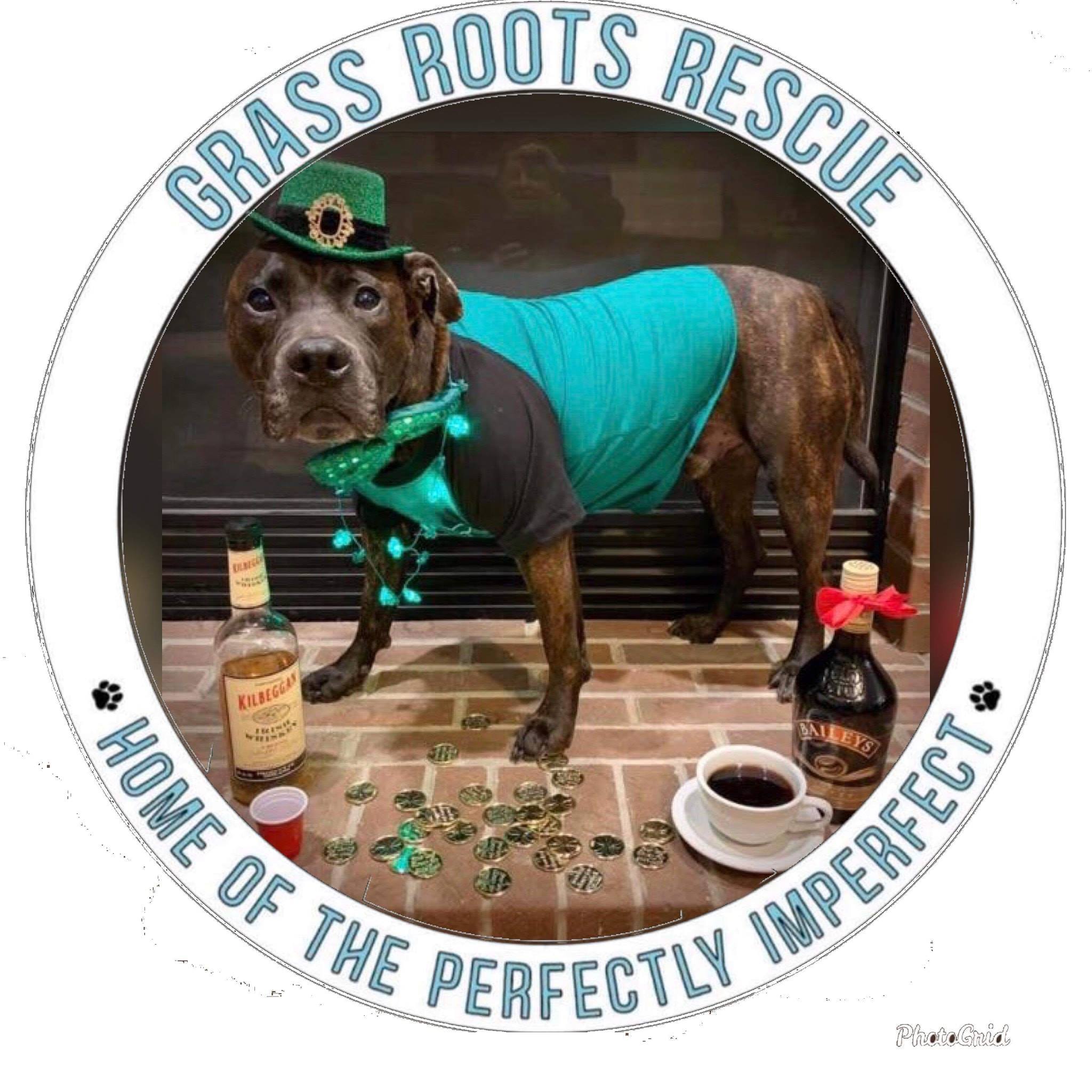 Grass Roots Rescue