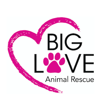 Big Love Animal Rescue